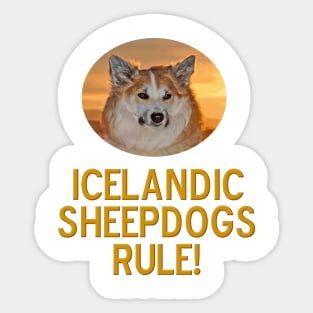 Icelandic Sheepdogs Rule! Sticker